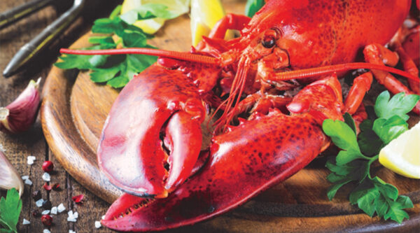 Fresh lobster displayed on a wooden platter with lemon wedges and herbs.